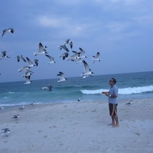 Meet your Posher, Mustapha